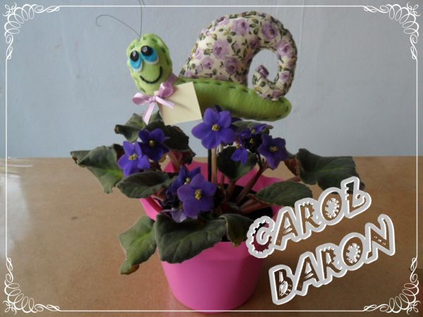 CARACOL